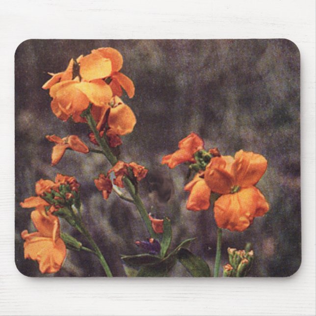 Wildflower: Wallflower Mouse Mat (Front)