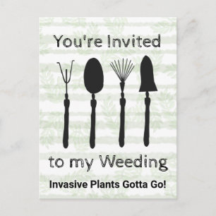 Wildflower Week Invitation Postcard