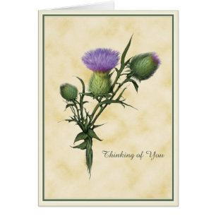 Wildflower Wishes