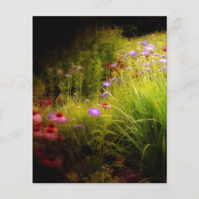Wildflowers (Front)