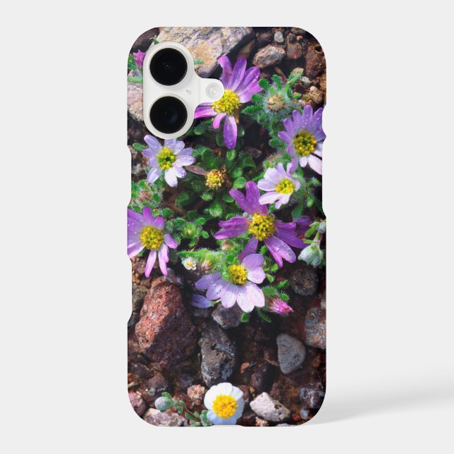 Wildflowers (Back)