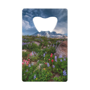 Wildflowers