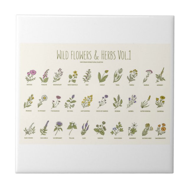 Wildflowers and Herbs Tile (Front)