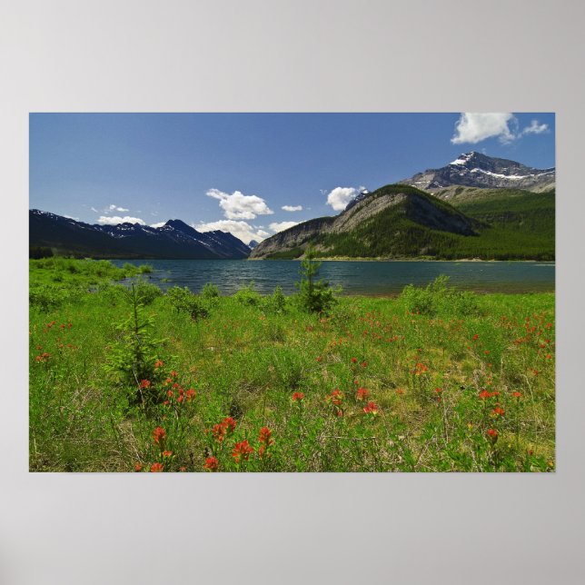 Wildflowers and Mountains Poster (Front)