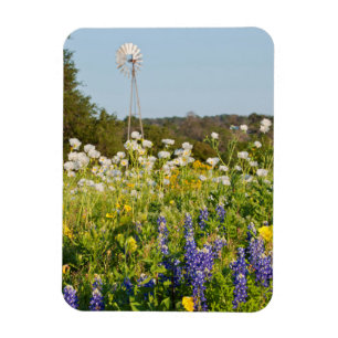 Wildflowers And Windmill In Texas Hill Country Magnet