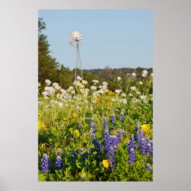 Wildflowers And Windmill In Texas Hill Country Poster (Front)