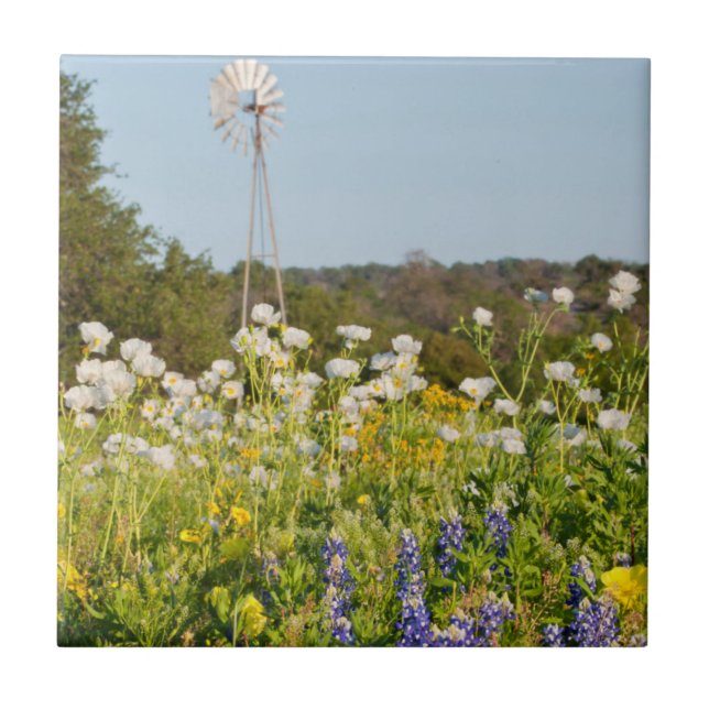 Wildflowers And Windmill In Texas Hill Country Tile (Front)