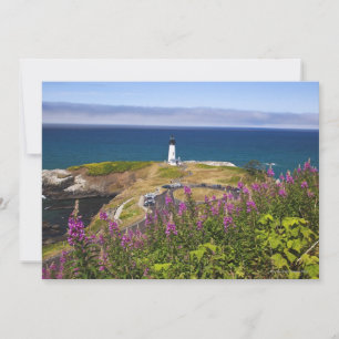 Wildflowers and Yaquina