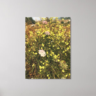 Wildflowers at Cape Blanco, Oregon Coast Canvas Print