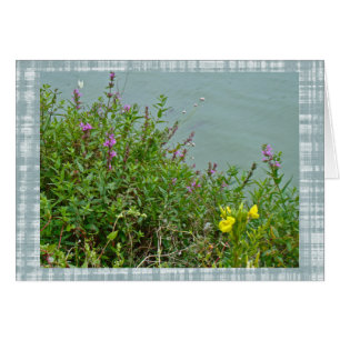 Wildflowers at Green Lane Reservoir