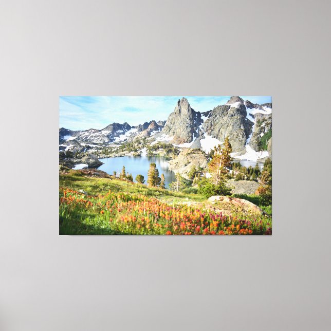 Wildflowers at Minaret Lake Canvas Print (Front)