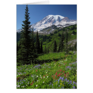 Wildflowers at Mount Rainier