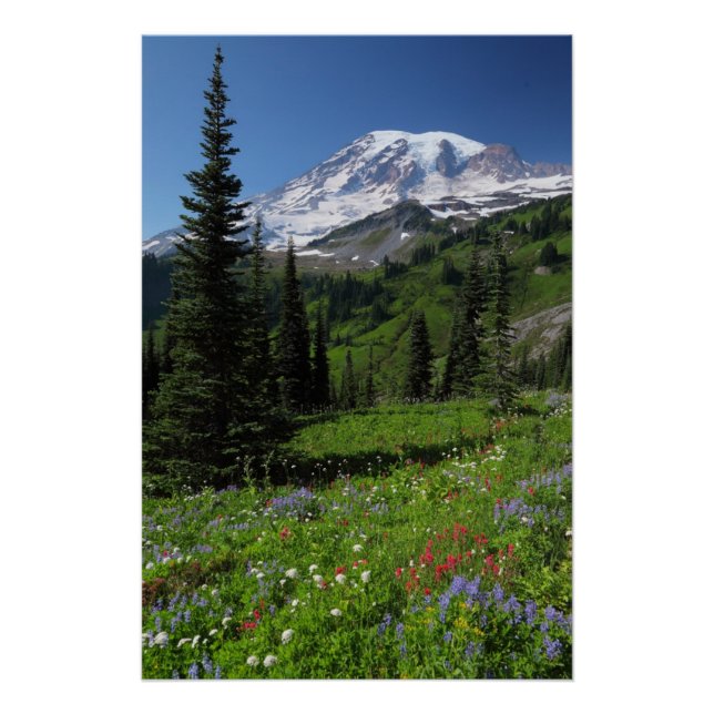 Wildflowers at Mount Rainier Poster (Front)