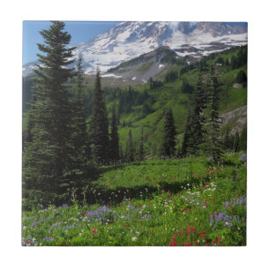 Wildflowers at Mount Rainier Tile