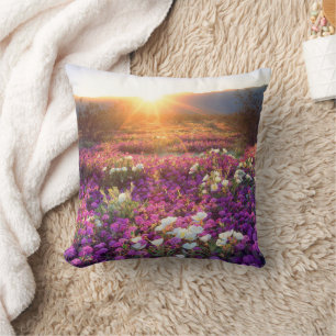 Wildflowers at sunset   Anza-Borrego Desert Cushion
