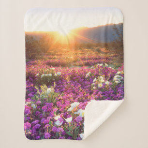 Wildflowers at sunset Anza-Borrego Desert Sherpa Blanket