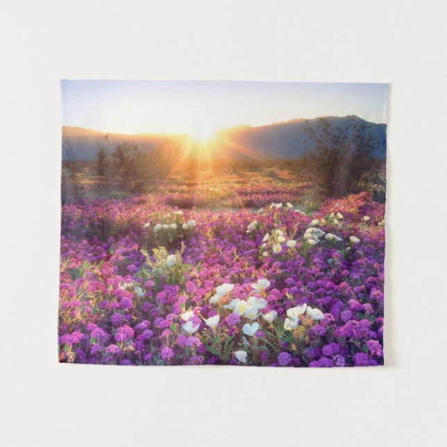 Wildflowers at sunset | Anza-Borrego Desert Tapestry (Front (Horizontal))