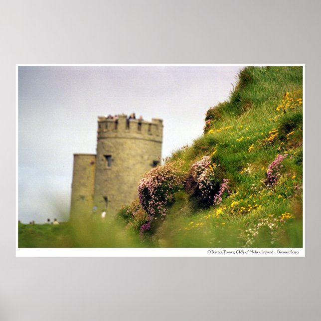 Wildflowers at the Cliffs of Moher, Ireland Poster (Front)