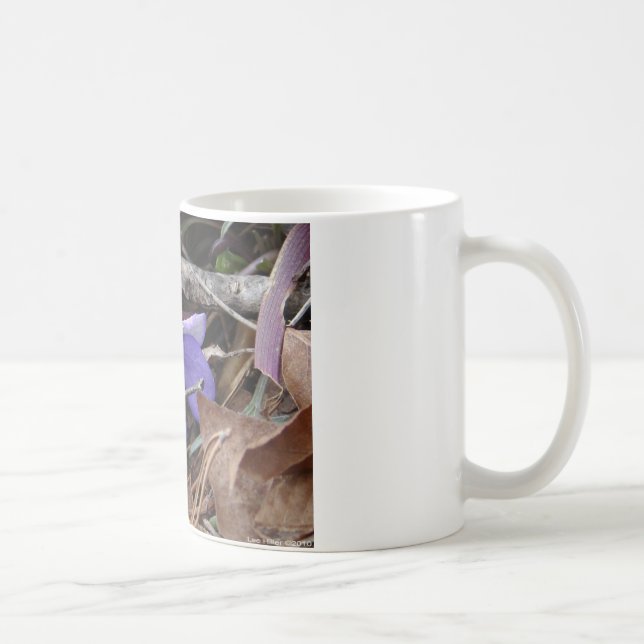 WildFlowers Birds-Foot Violet Hot Springs AR Gifts Coffee Mug (Right)