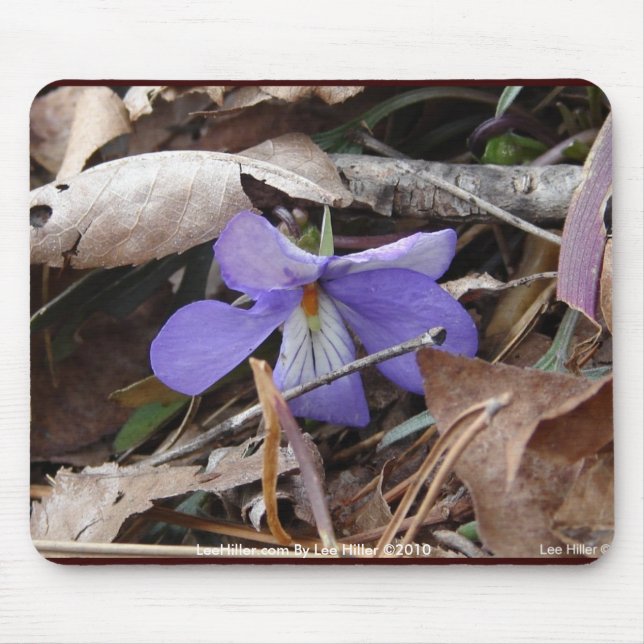 WildFlowers Birds-Foot Violet Hot Springs AR Gifts Mouse Mat (Front)