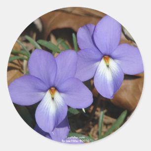 WildFlowers Birds-Foot Violet III Gifts & Apparel Classic Round Sticker