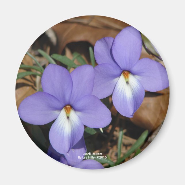 WildFlowers Birds-Foot Violet III Gifts & Apparel Magnet (Front)