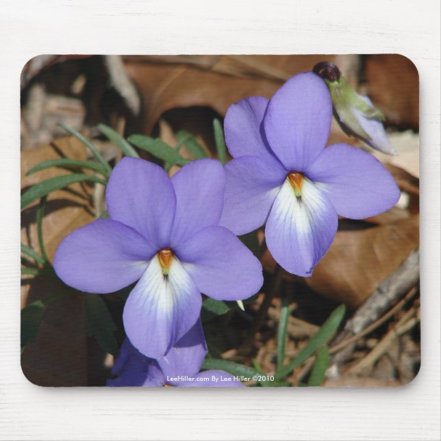 WildFlowers Birds-Foot Violet III Gifts & Apparel Mouse Mat (Front)