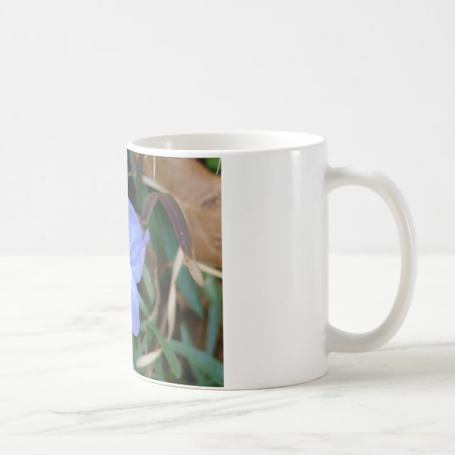 WildFlowers Birds-Foot Violet IV Hot Springs Gifts Coffee Mug (Right)