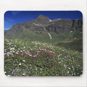 Wildflowers, blooming, Alps, Switzerland Mouse Mat