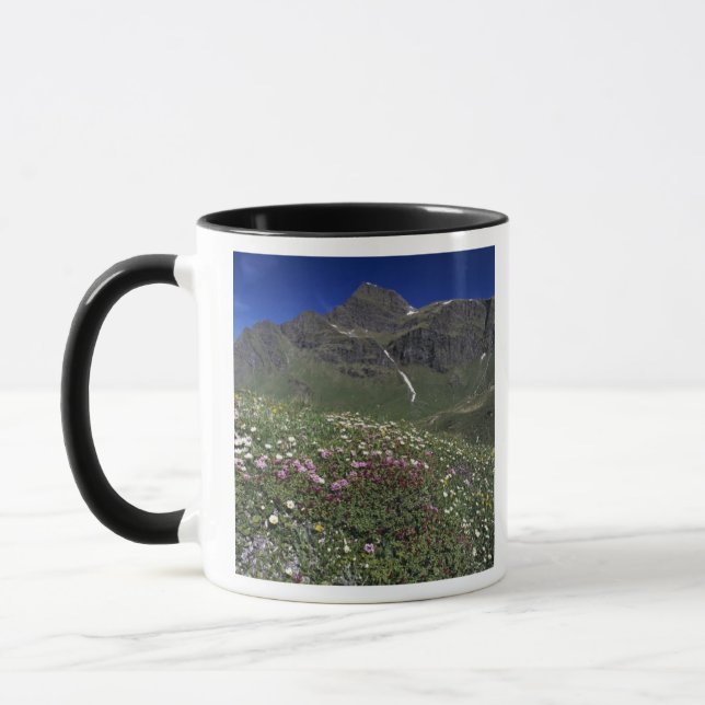 Wildflowers, blooming, Alps, Switzerland Mug (Left)