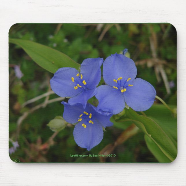 Wildflowers Blue Spiderwort Hot Springs AR Gifts Mouse Mat (Front)