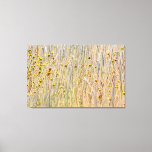Wildflowers canvas print