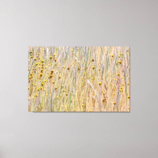 Wildflowers  canvas print (Front)