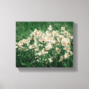 Wildflowers Canvas Print