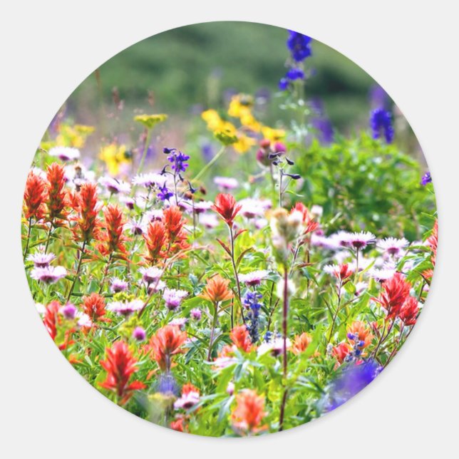 Wildflowers Classic Round Sticker (Front)