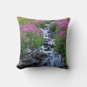 Wildflowers, Clements Mountain, Montana Cushion