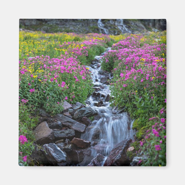 Wildflowers, Clements Mountain, Montana Magnet (Front)