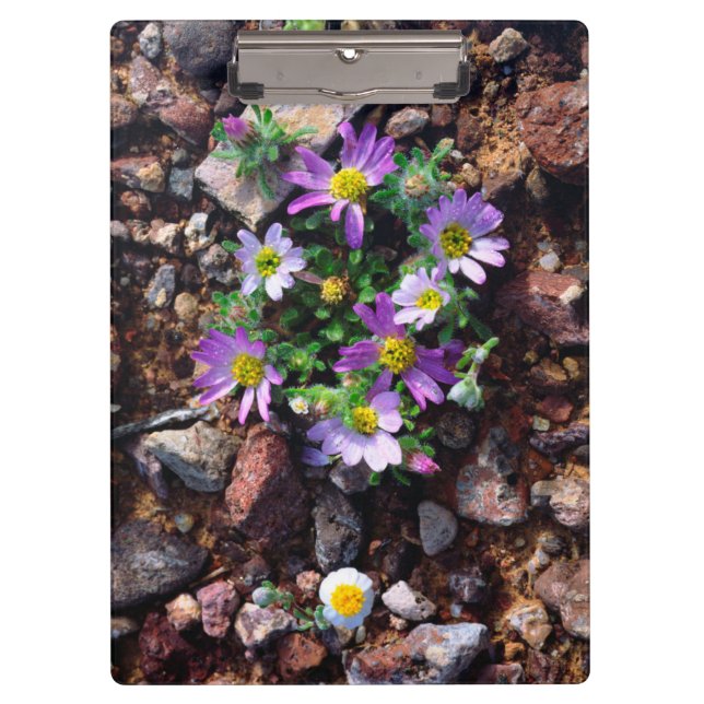 Wildflowers Clipboard (Front)