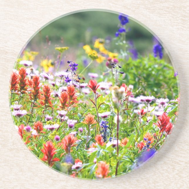 Wildflowers Coaster (Front)