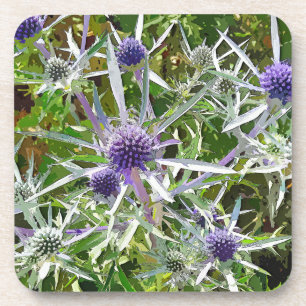 WILDFLOWERS COASTER