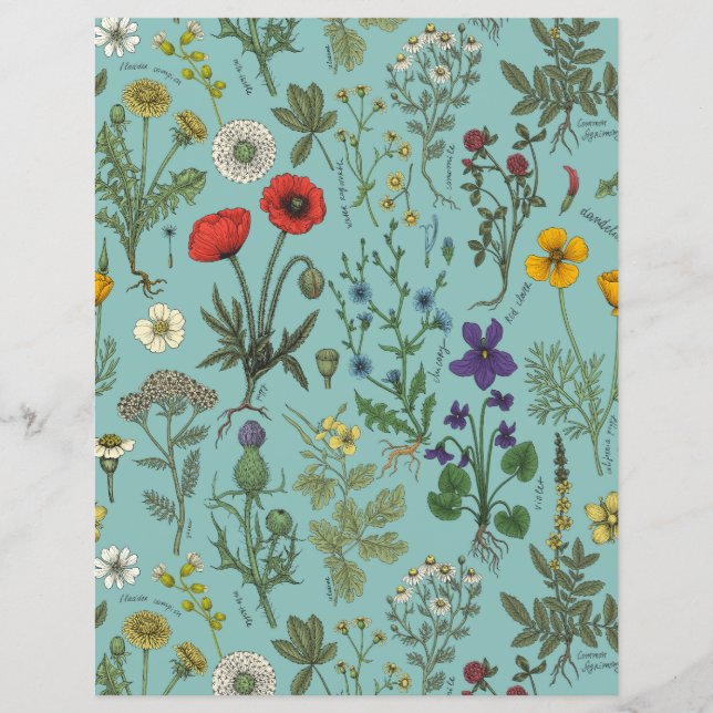 Wildflowers collage on blue (Front)