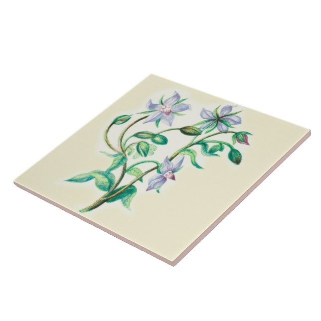 Wildflowers Country Kitchen Ceramic Tile Borage (Side)