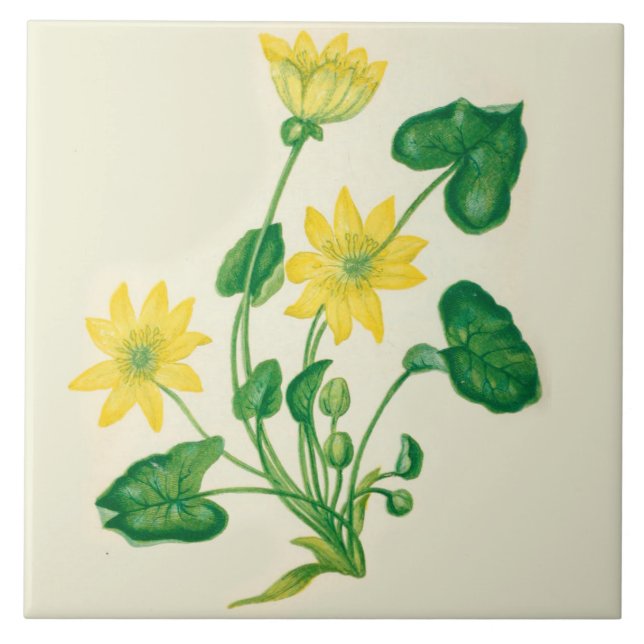 Wildflowers Country Kitchen Ceramic Tile Celandine (Front)