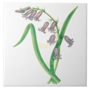 Wildflowers Country Kitchen Ceramic Tile Hyacinth