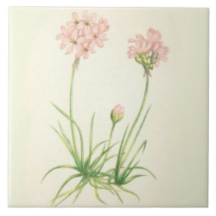 Wildflowers Country Kitchen Ceramic Tile Sea Pinks