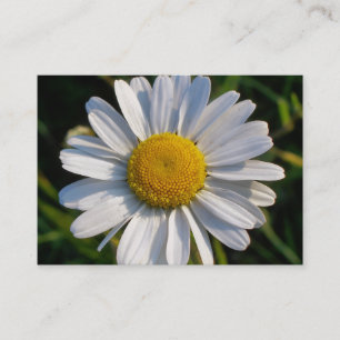 WILDFLOWERS DAISY BUSINESS CARD