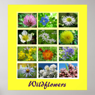 Wildflowers Floral Nature Poster