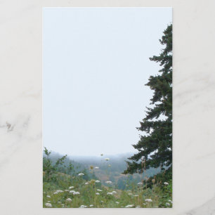 Wildflowers Flowers Floral Meadow Photography Stationery