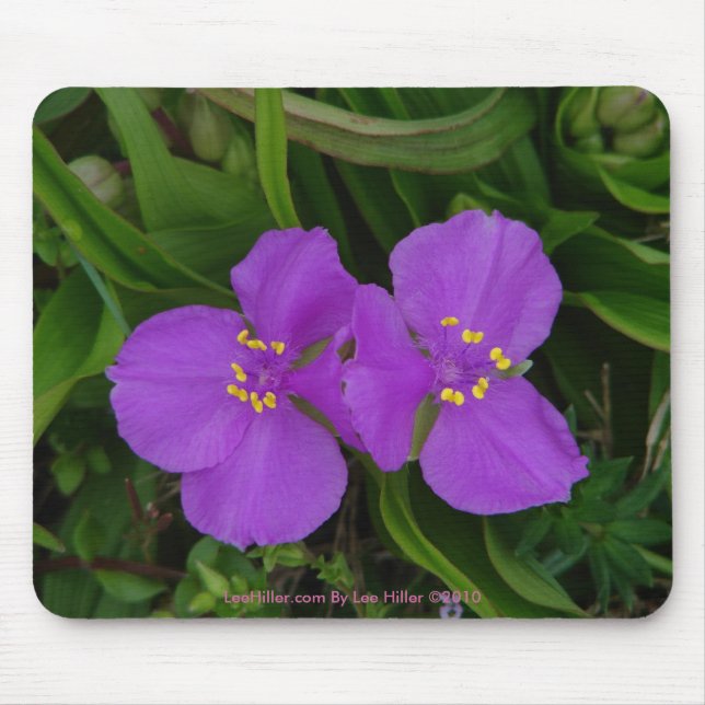 Wildflowers Fuchsia Spiderwort Hot Springs Gifts Mouse Mat (Front)