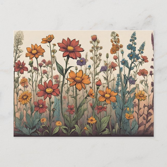 Wildflowers Growing in the Field Illustration  Postcard (Front)